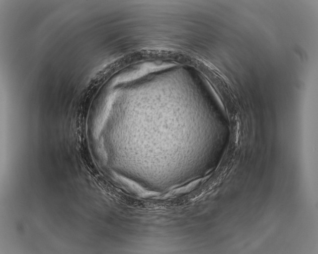 X0000112730870200909031442