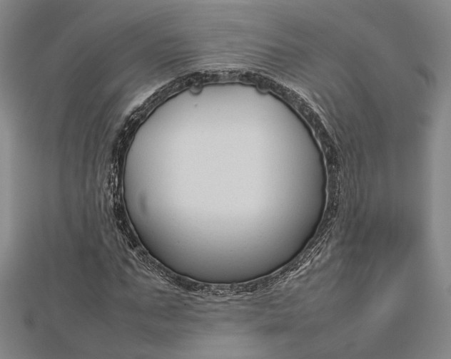 X0000112730871200909031442