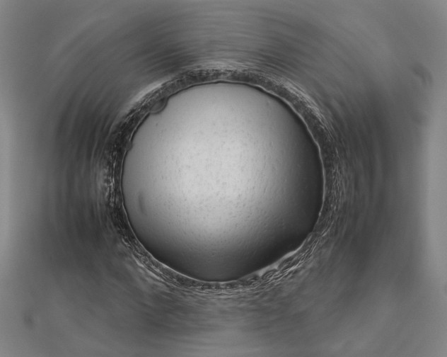 X0000112730872200909031442