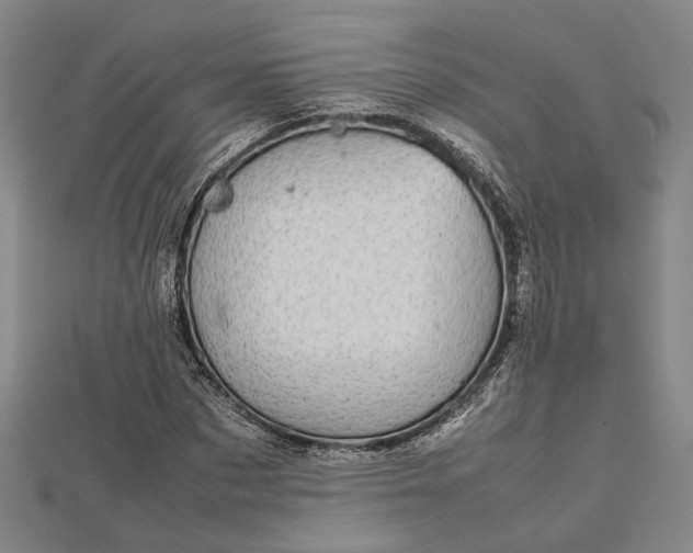 X0000112730873200909031442