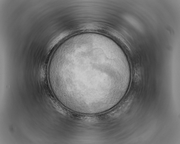 X0000112730874200909031442