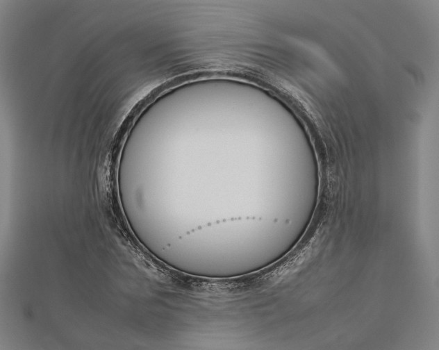 X0000112730875200909031442