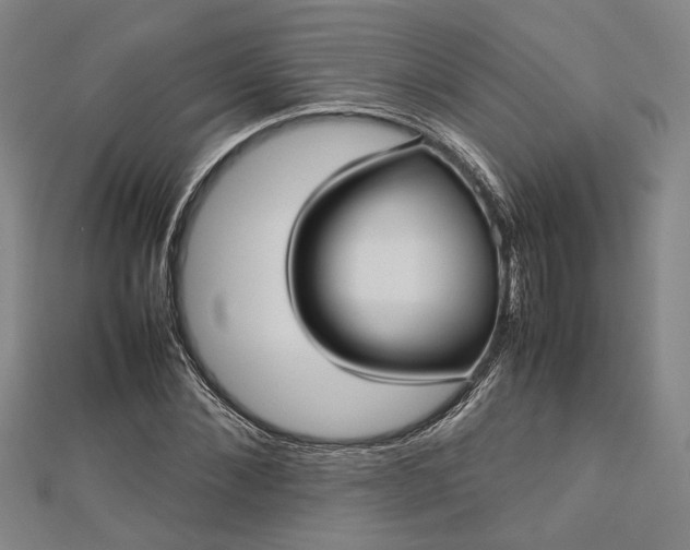 X0000112730876200909031442