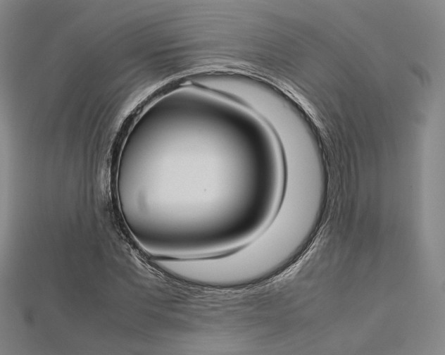 X0000112730877200909031442