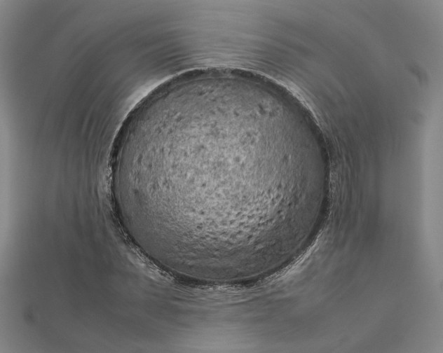 X0000112730879200909031442