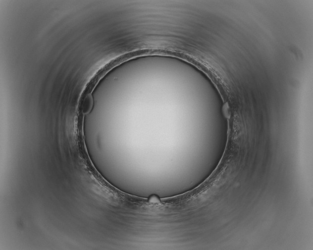 X0000112730880200909031442