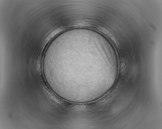 X0000112730882200909031442