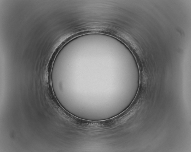 X0000112730883200909031442