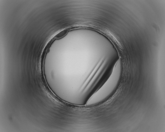 X0000112730884200909031442