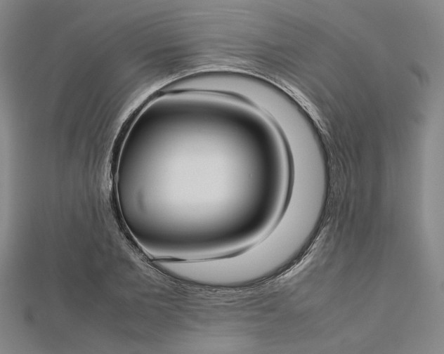 X0000112730885200909031442