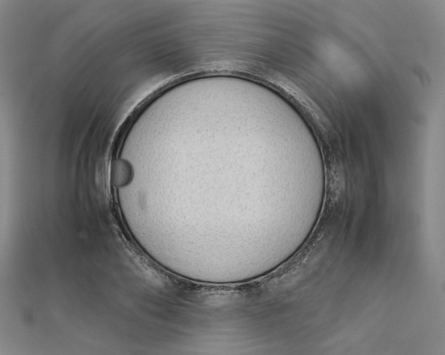 X0000112730886200909031442