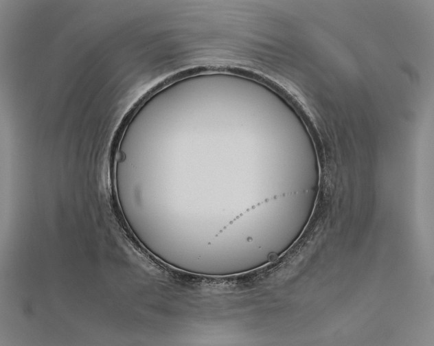 X0000112730887200909031442