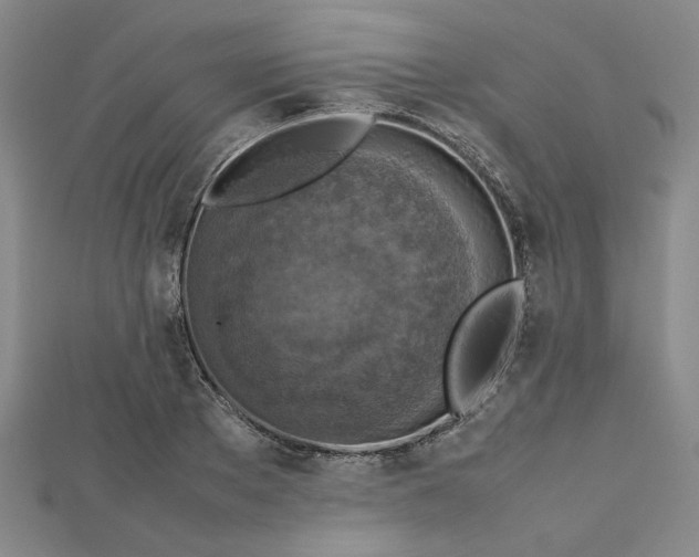 X0000112730889200909031442