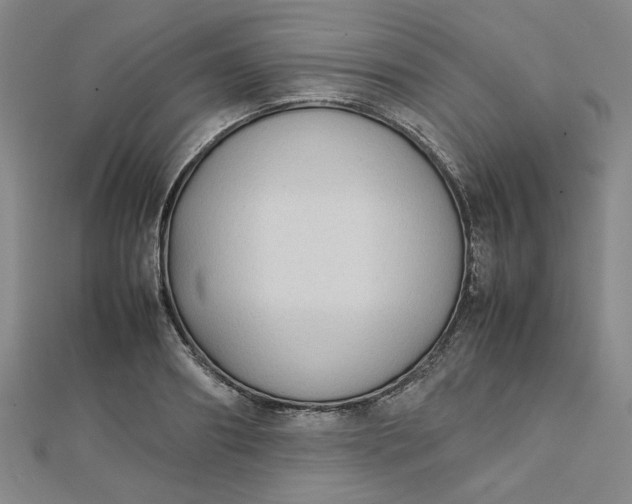 X0000112730890200909031442