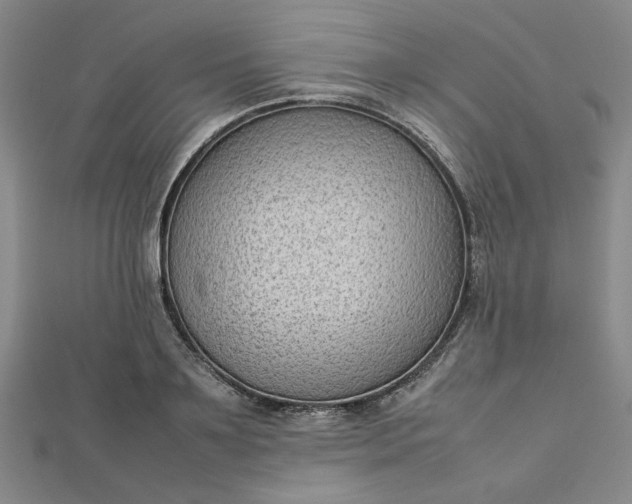 X0000112730891200909031442