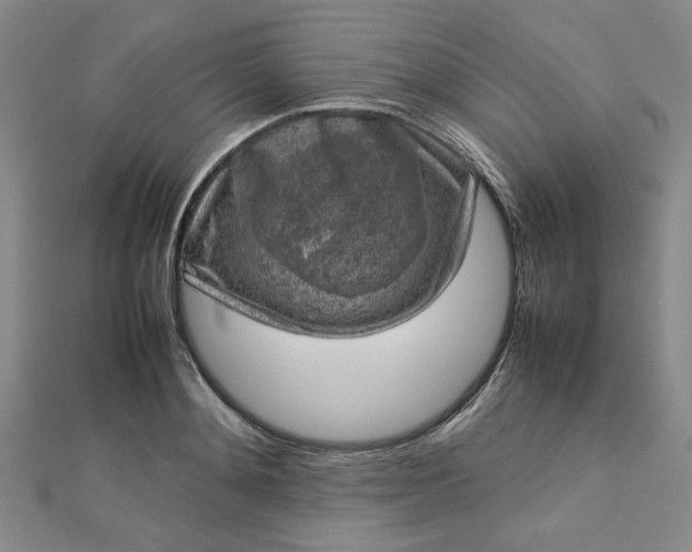 X0000112730892200909031442