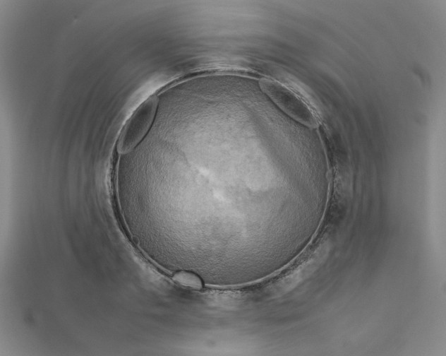 X0000112730893200909031442