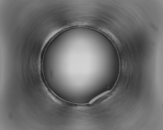 X0000112730894200909031442