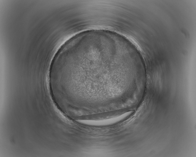 X0000112730895200909031442