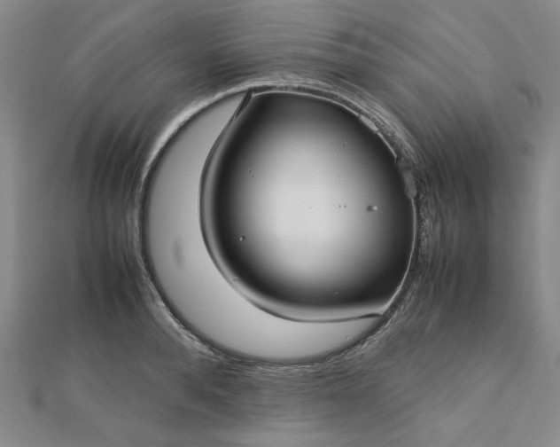 X0000112730896200909031442