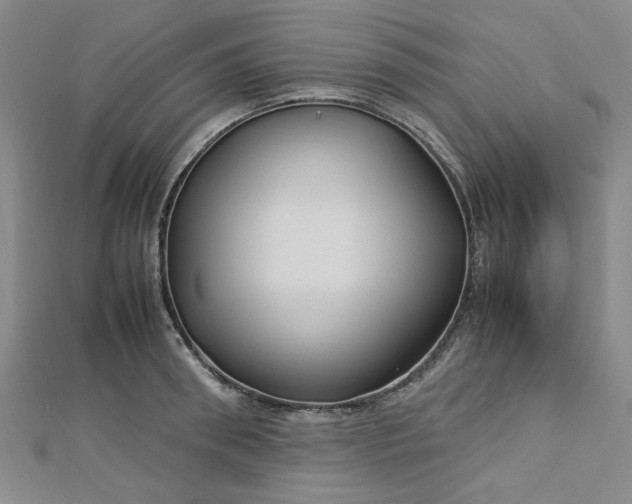 X0000112730898200909031441