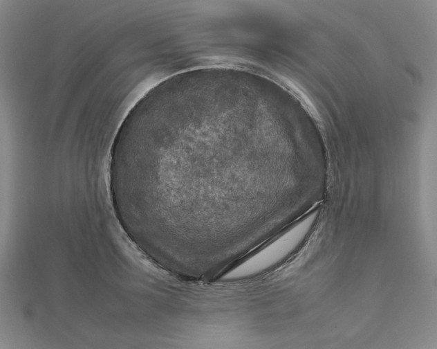 X0000112730899200909031441