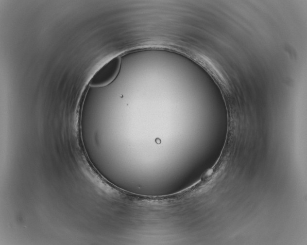 X0000112730900200909031441