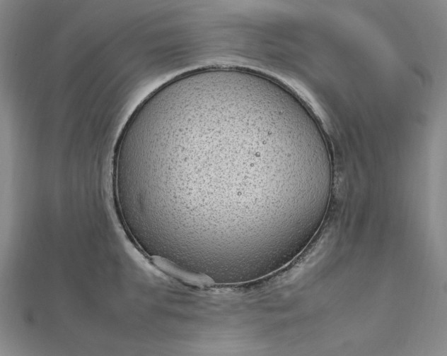 X0000112730903200909031441