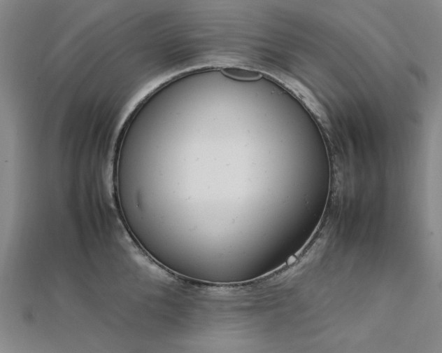 X0000112730904200909031441