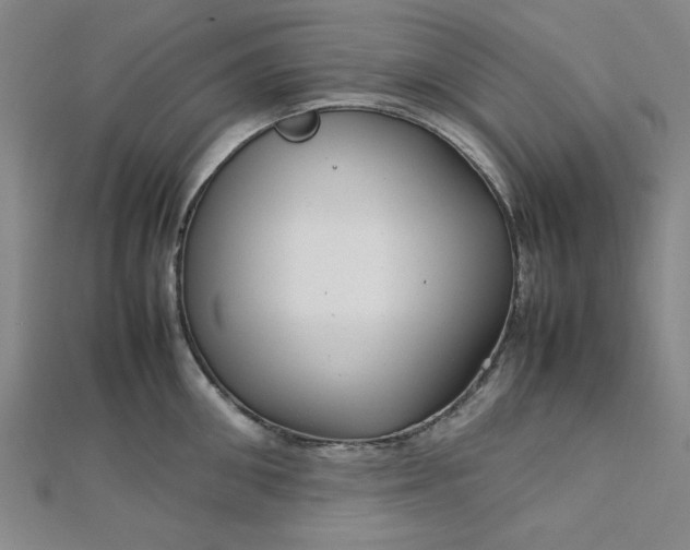 X0000112730906200909031441