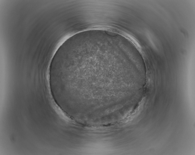 X0000112730907200909031441