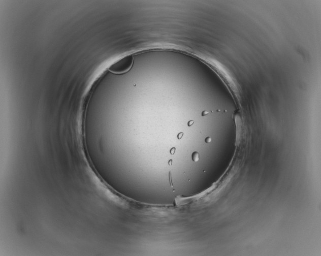 X0000112730910200909031441