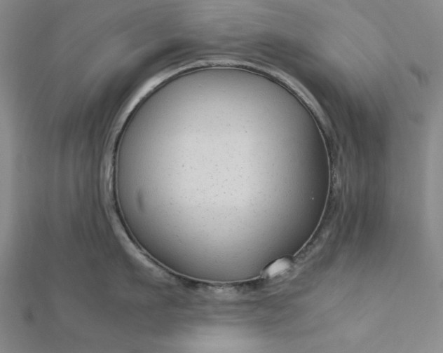 X0000112730911200909031441