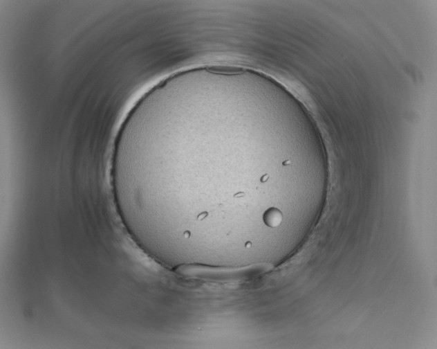 X0000112730912200909031441