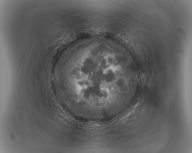 X0000112730913200909031441