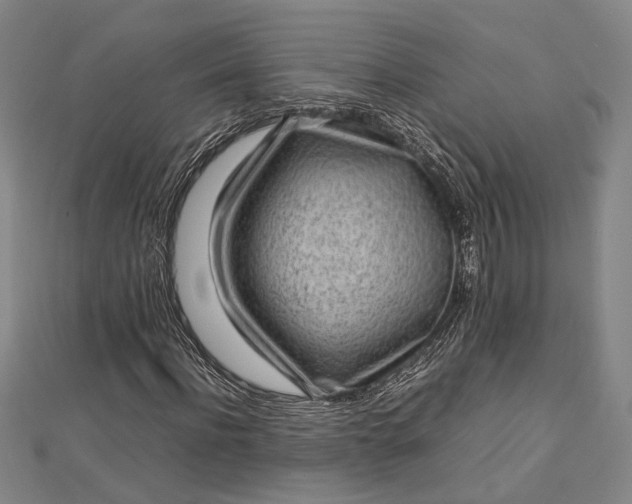 X0000112730916200909031441