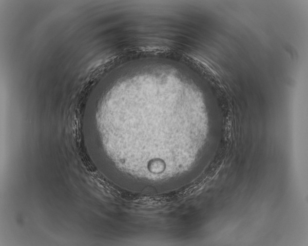 X0000112730917200909031441