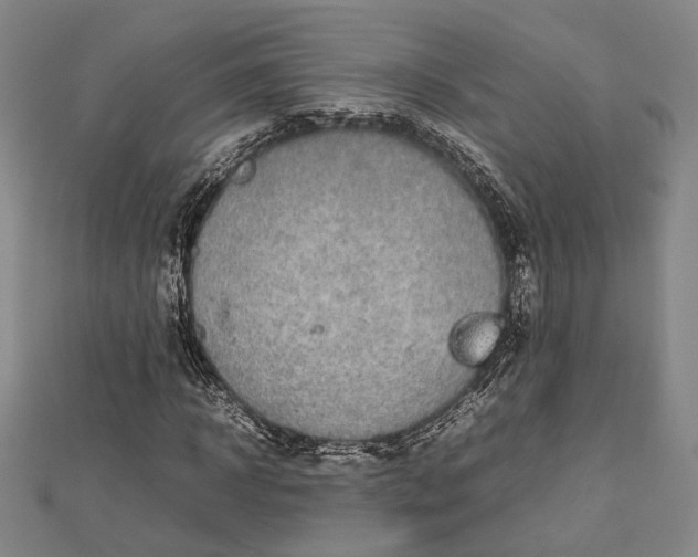 X0000112730918200909031441