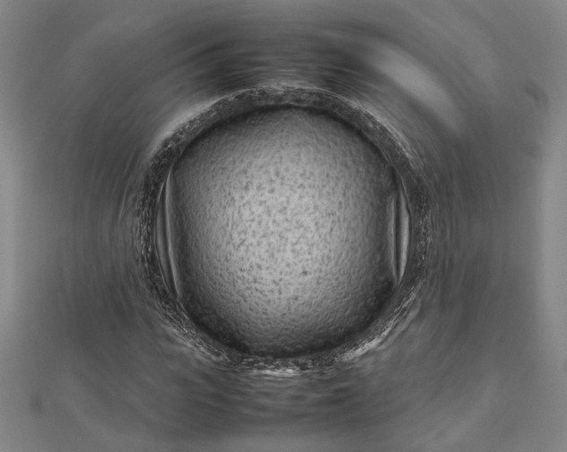 X0000112730919200909031441