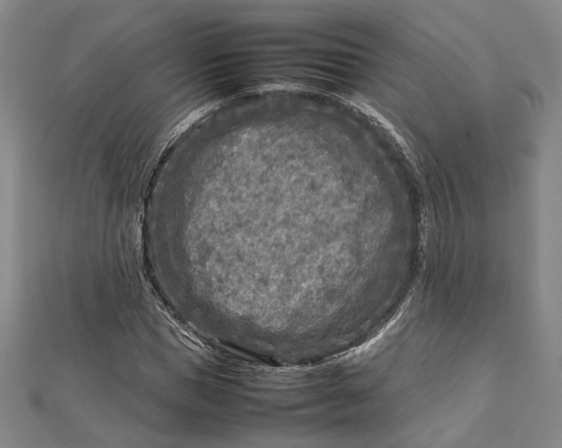 X0000112730921200909031441