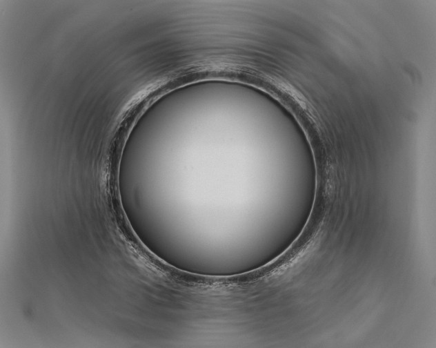 X0000112730922200909031441