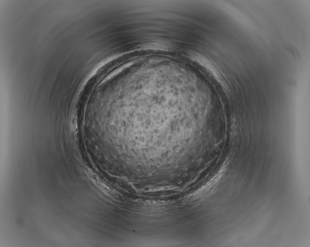 X0000112730923200909031441