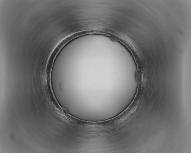 X0000112730924200909031441