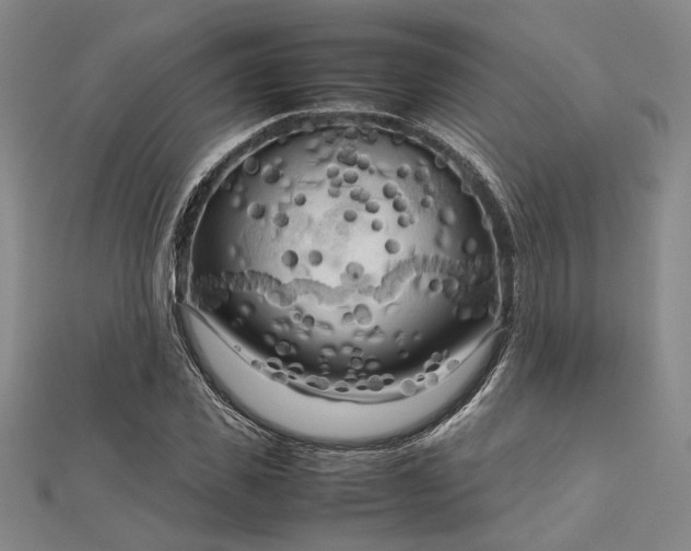 X0000112730925200909031441