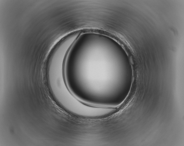 X0000112730926200909031441