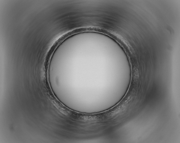 X0000112730927200909031441