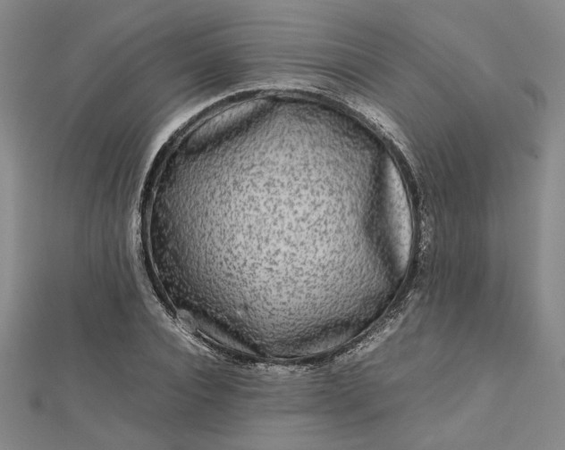 X0000112730928200909031441