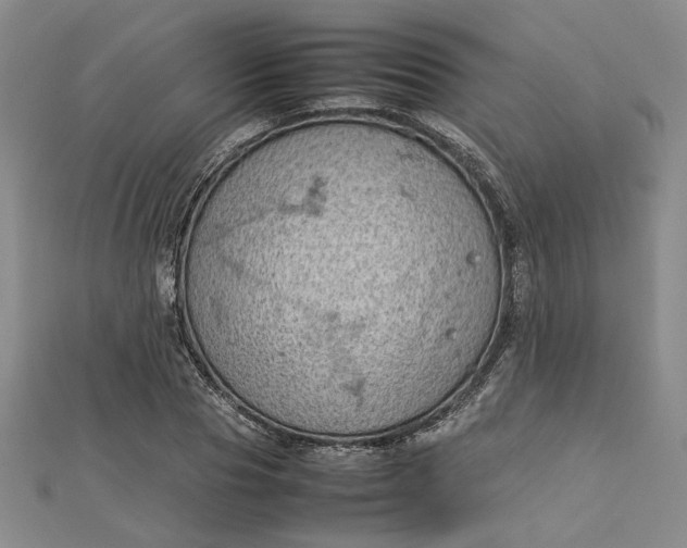 X0000112730929200909031441