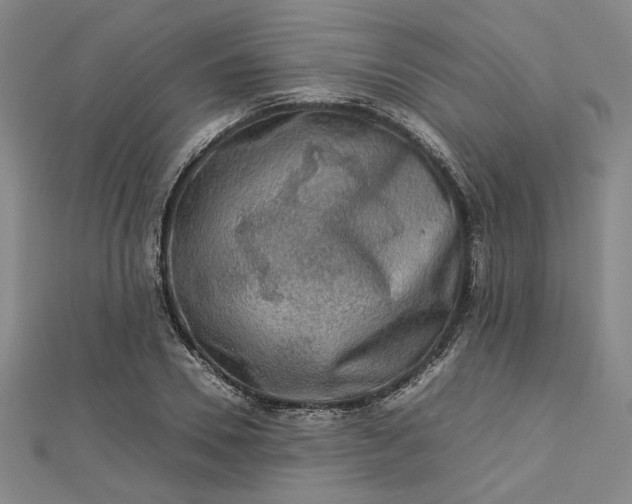 X0000112730930200909031441