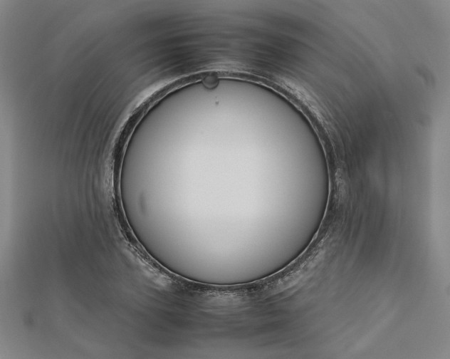 X0000112730931200909031441